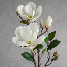 Load image into Gallery viewer, Magnolia White 70cm
