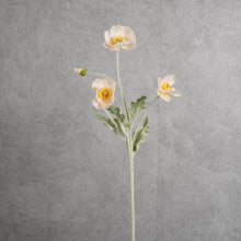 Load image into Gallery viewer, Poppy Champagne 58cm
