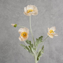 Load image into Gallery viewer, Poppy Champagne 58cm
