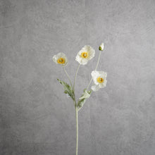 Load image into Gallery viewer, Poppy White 58cm
