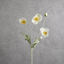 Load image into Gallery viewer, Poppy White 58cm
