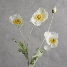 Load image into Gallery viewer, Poppy White 58cm
