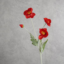 Load image into Gallery viewer, Poppy Red 58cm
