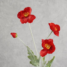Load image into Gallery viewer, Poppy Red 58cm
