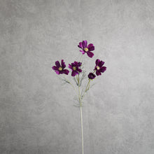 Load image into Gallery viewer, Cosm Dark Purple 60cm
