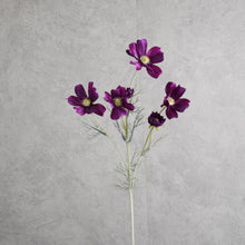 Load image into Gallery viewer, Cosm Dark Purple 60cm
