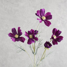 Load image into Gallery viewer, Cosm Dark Purple 60cm
