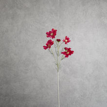 Load image into Gallery viewer, Cosm Rose Red 60cm
