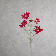 Load image into Gallery viewer, Cosm Rose Red 60cm
