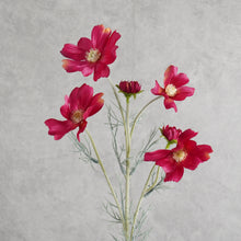 Load image into Gallery viewer, Cosm Rose Red 60cm
