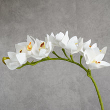 Load image into Gallery viewer, Orchid White 75cm
