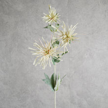 Load image into Gallery viewer, Chrysanthemum Green 80cm
