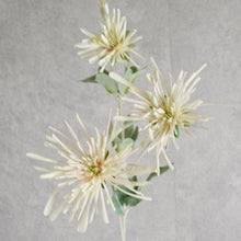 Load image into Gallery viewer, Chrysanthemum Green 80cm
