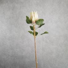 Load image into Gallery viewer, Protea Cream 67cm
