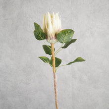 Load image into Gallery viewer, Protea Cream 67cm
