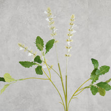Load image into Gallery viewer, Sage White 73cm
