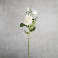 Load image into Gallery viewer, Rose White 75cm
