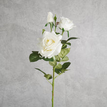 Load image into Gallery viewer, Rose White 75cm
