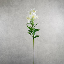 Load image into Gallery viewer, Alstroemeria White 75cm
