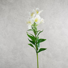 Load image into Gallery viewer, Alstroemeria White 75cm
