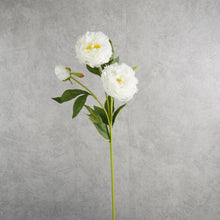 Load image into Gallery viewer, Peony 3 Heads White 75cm
