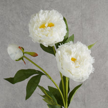 Load image into Gallery viewer, Peony 3 Heads White 75cm
