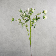 Load image into Gallery viewer, Sea Holly White 7Ocm
