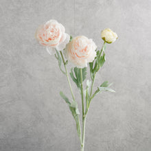Load image into Gallery viewer, Ranunculus Light pink 50cm
