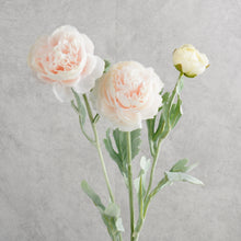 Load image into Gallery viewer, Ranunculus Light pink 50cm

