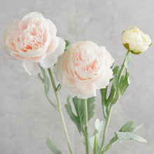 Load image into Gallery viewer, Ranunculus Light pink 50cm
