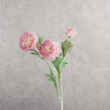 Load image into Gallery viewer, Ranunculus Pink 50cm
