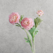 Load image into Gallery viewer, Ranunculus Pink 50cm
