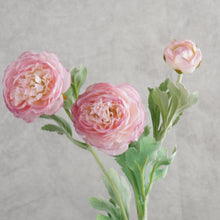 Load image into Gallery viewer, Ranunculus Pink 50cm
