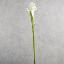 Load image into Gallery viewer, Iris White 60cm
