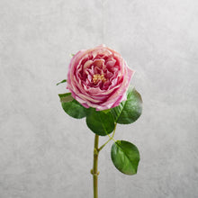 Load image into Gallery viewer, Rose Austin Short Dark Pink 44cm
