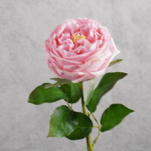 Load image into Gallery viewer, Rose Austin Short Pink 44cm
