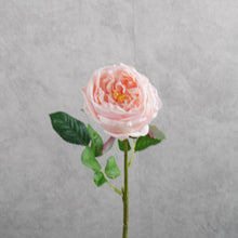 Load image into Gallery viewer, Rose Austin Short Pink 44cm
