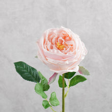 Load image into Gallery viewer, Rose Austin Short Pink 44cm
