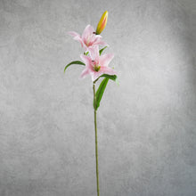 Load image into Gallery viewer, Lily 78cm
