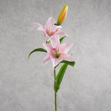 Load image into Gallery viewer, Lily 78cm
