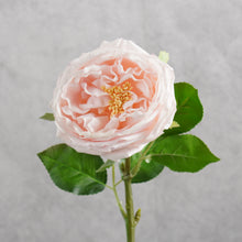 Load image into Gallery viewer, Rose Austin Short Light Pink 44cm
