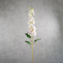 Load image into Gallery viewer, Delphinium Light Pink 89cm
