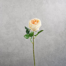 Load image into Gallery viewer, Rose Austin Short Cream 44cm
