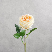 Load image into Gallery viewer, Rose Austin Short Cream 44cm
