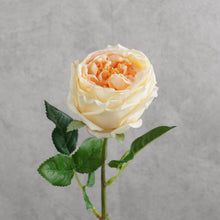 Load image into Gallery viewer, Rose Austin Short Cream 44cm
