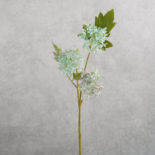 Load image into Gallery viewer, Snowball Viburnum Purple 50cm
