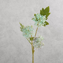 Load image into Gallery viewer, Snowball Viburnum Purple 50cm
