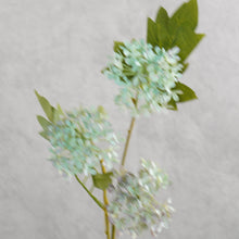 Load image into Gallery viewer, Snowball Viburnum Purple 50cm
