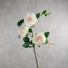 Load image into Gallery viewer, Rose 5 Heads Light Pink 92cm

