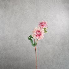 Load image into Gallery viewer, Dahlia Pink 60CM
